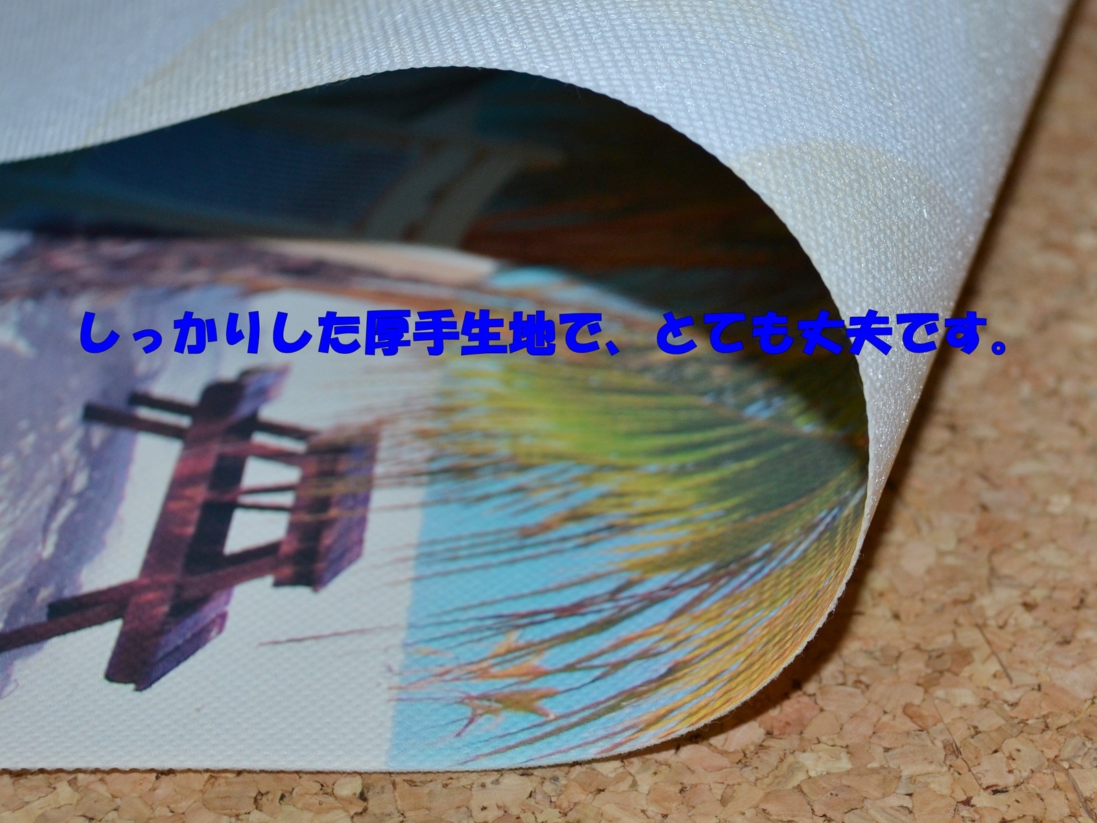 生地側面アップ.JPG
